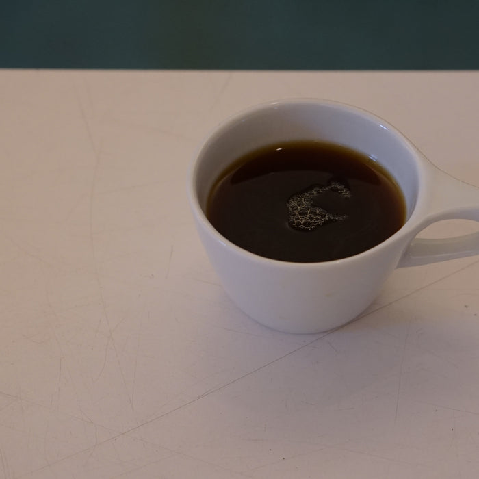 Training Log by Michael Manhart - Brewing Gesha Village Gesha